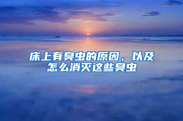 床上有臭蟲(chóng)的原因,以及怎么消滅這些臭蟲(chóng)