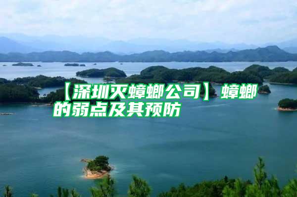 【深圳滅蟑螂公司】蟑螂的弱點及其預防