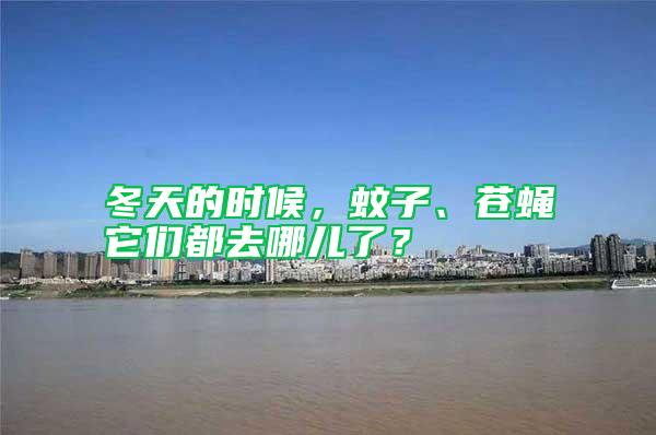 冬天的時候，蚊子、蒼蠅它們都去哪兒了？