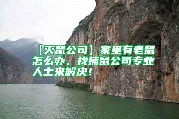 【滅鼠公司】家里有老鼠怎么辦,找捕鼠公司專業(yè)人士來解決!