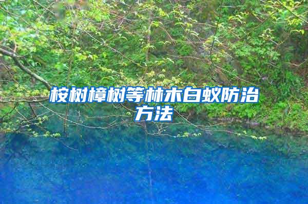 桉樹(shù)樟樹(shù)等林木白蟻防治方法