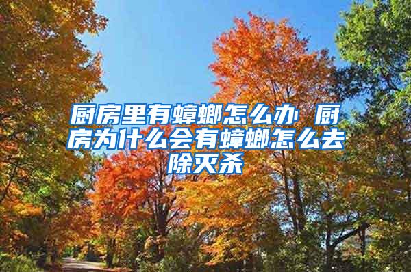 廚房里有蟑螂怎么辦 廚房為什么會(huì)有蟑螂怎么去除滅殺