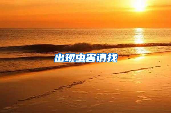 出現(xiàn)蟲害請(qǐng)找