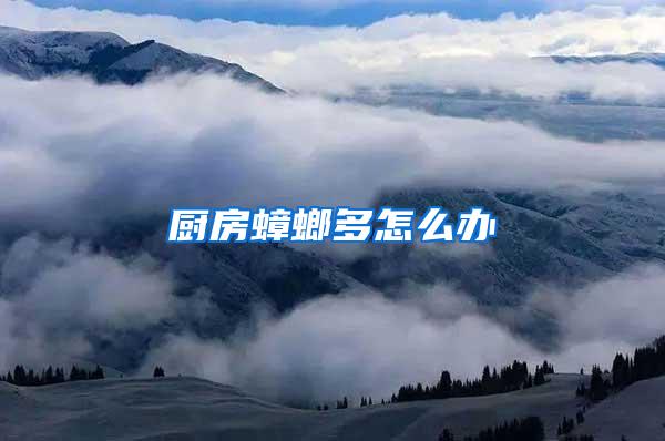 廚房蟑螂多怎么辦