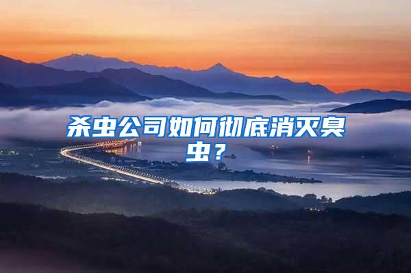 殺蟲公司如何徹底消滅臭蟲？