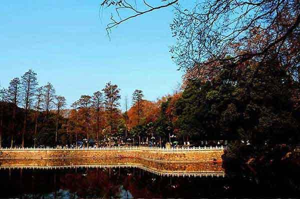 白蟻猖狂，你別驚慌