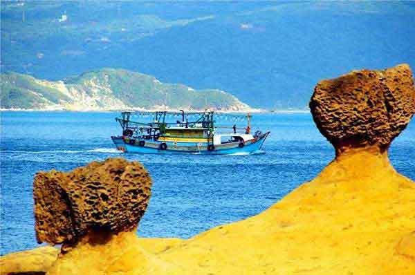 深圳專業滅臭蟲公司上門殺臭蟲服務多少錢，怎么收費的？