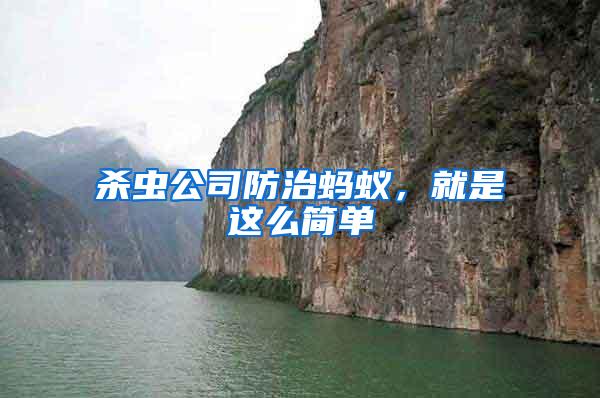 殺蟲公司防治螞蟻，就是這么簡(jiǎn)單
