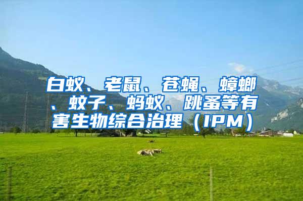 白蟻、老鼠、蒼蠅、蟑螂、蚊子、螞蟻、跳蚤等有害生物綜合治理(IPM)