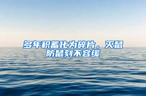 多年積蓄化為碎片，滅鼠防鼠刻不容緩