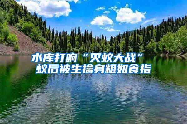 水庫打響“滅蟻大戰(zhàn)” 蟻后被生擒身粗如食指