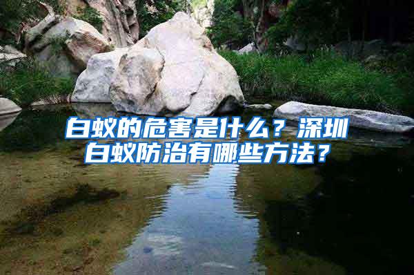 白蟻的危害是什么？深圳白蟻防治有哪些方法？