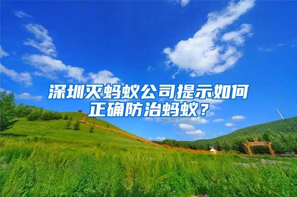 深圳滅螞蟻公司提示如何正確防治螞蟻？