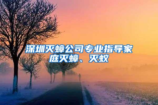 深圳滅蟑公司專業(yè)指導(dǎo)家庭滅蟑、滅蟻